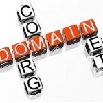 Registering Domain Name for Multiple Years